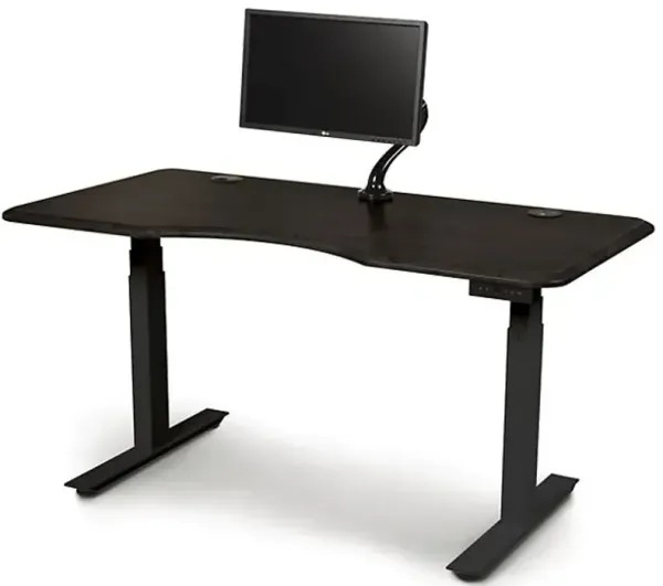 Invigo Ergonomic Sit-Stand Desk with Monitor Arm