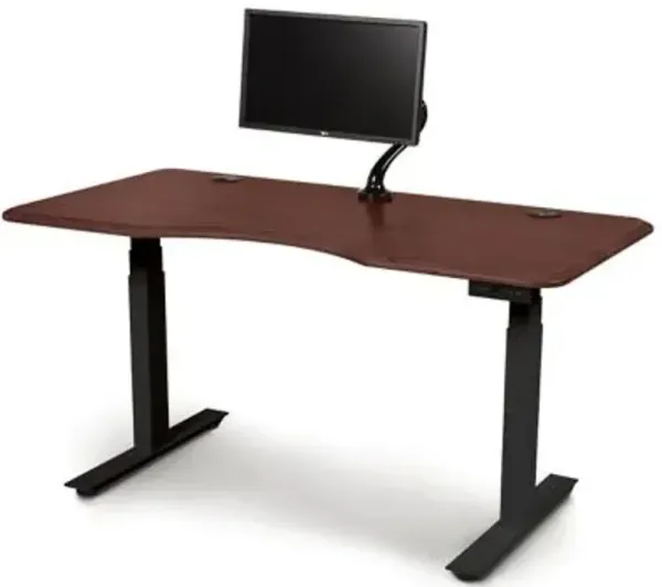 Invigo Ergonomic Sit-Stand Desk with Monitor Arm