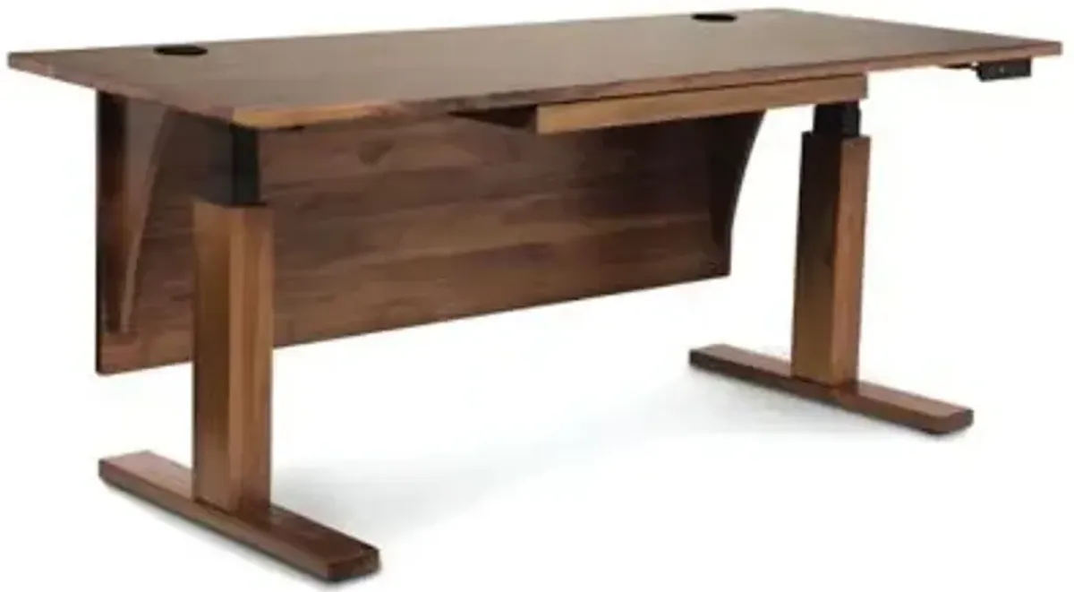 Invigo 30-In. x 60-In. Sit-Stand Desk