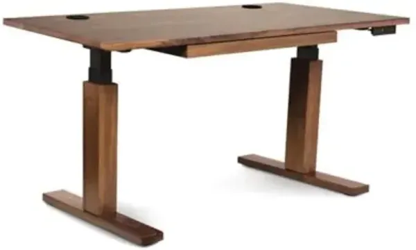 Invigo 30-In. x 60-In. Sit-Stand Desk