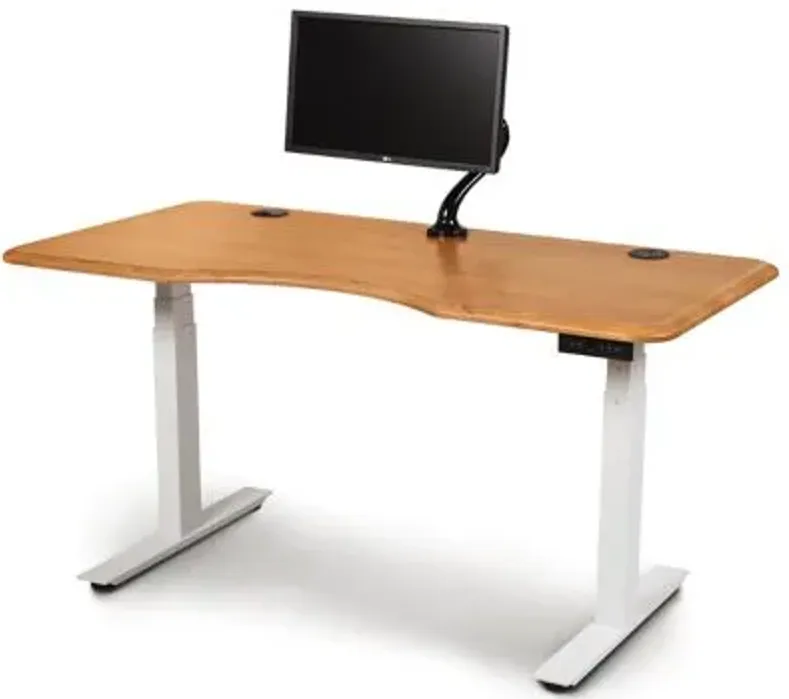 Invigo Ergonomic Sit-Stand Desk with Monitor Arm