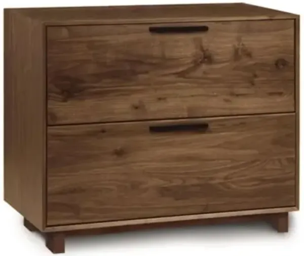 Linear Office Storage File