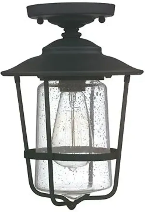 Creekside Caged Outdoor Semi-Flushmount