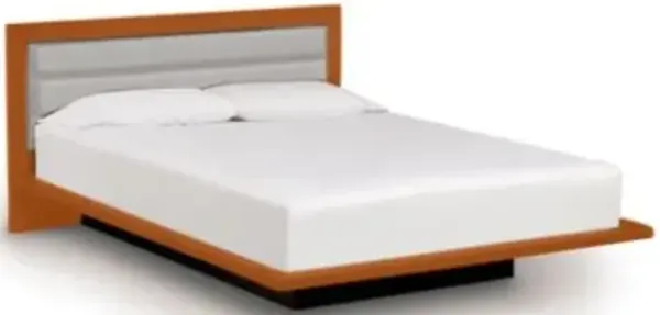 Moduluxe 35-Inch Platform Bed with Leather Headboard