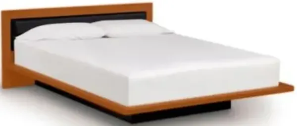 Moduluxe 29-Inch Platform Bed with Leather Headboard
