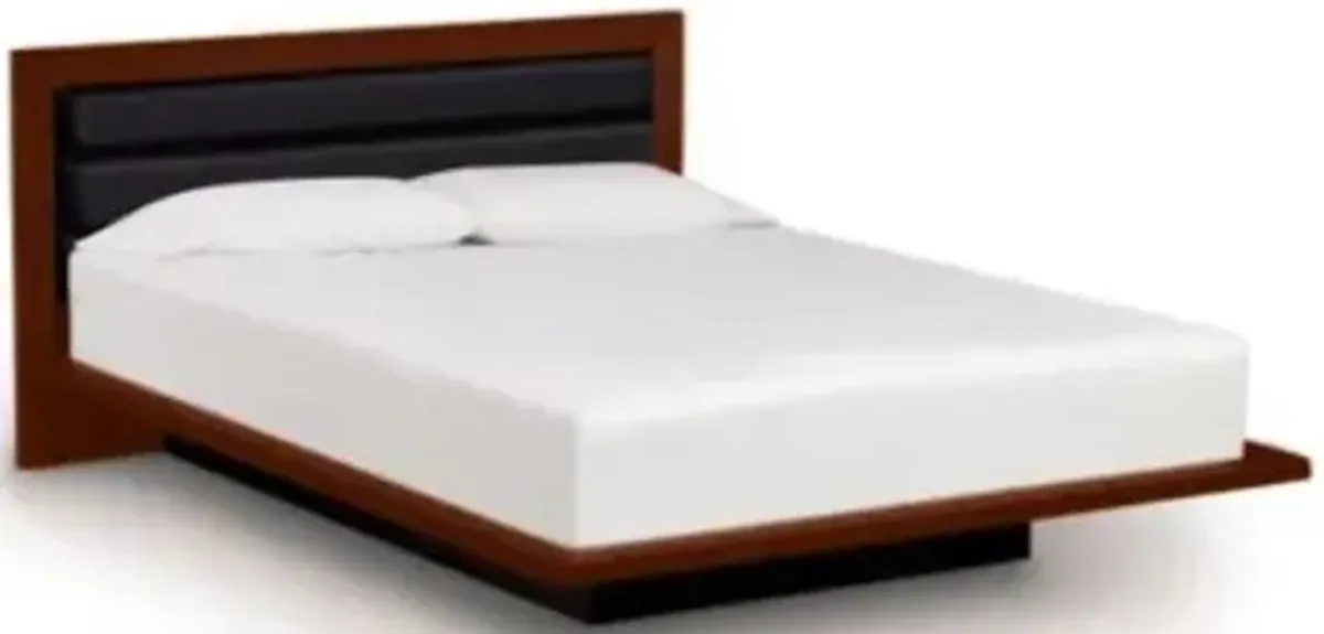 Moduluxe 35-Inch Platform Bed with Leather Headboard