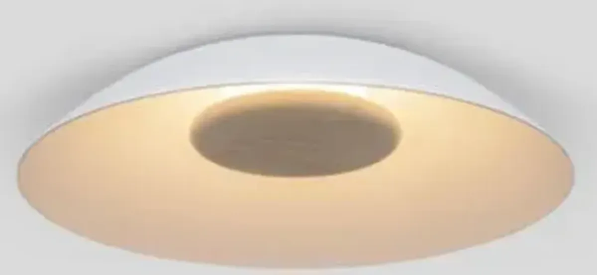 Volo LED Flushmount
