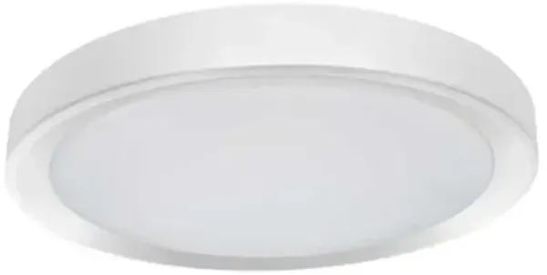 Flynn LED Flushmount