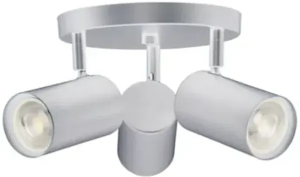 Taylor Spotlight Flushmount