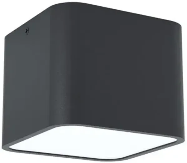 Grimasola Flushmount