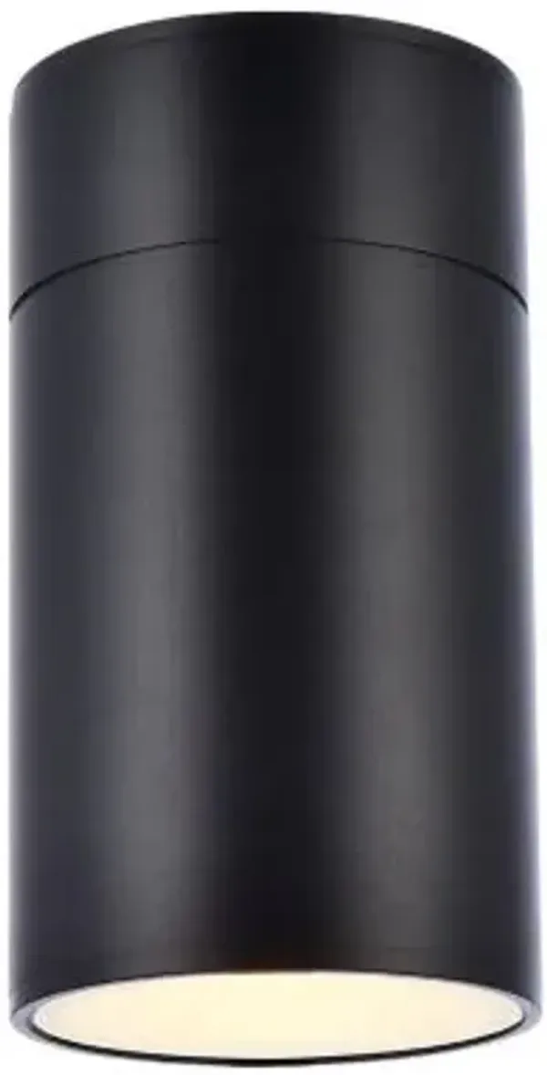 Raine Cylinder Outdoor Wall Sconce