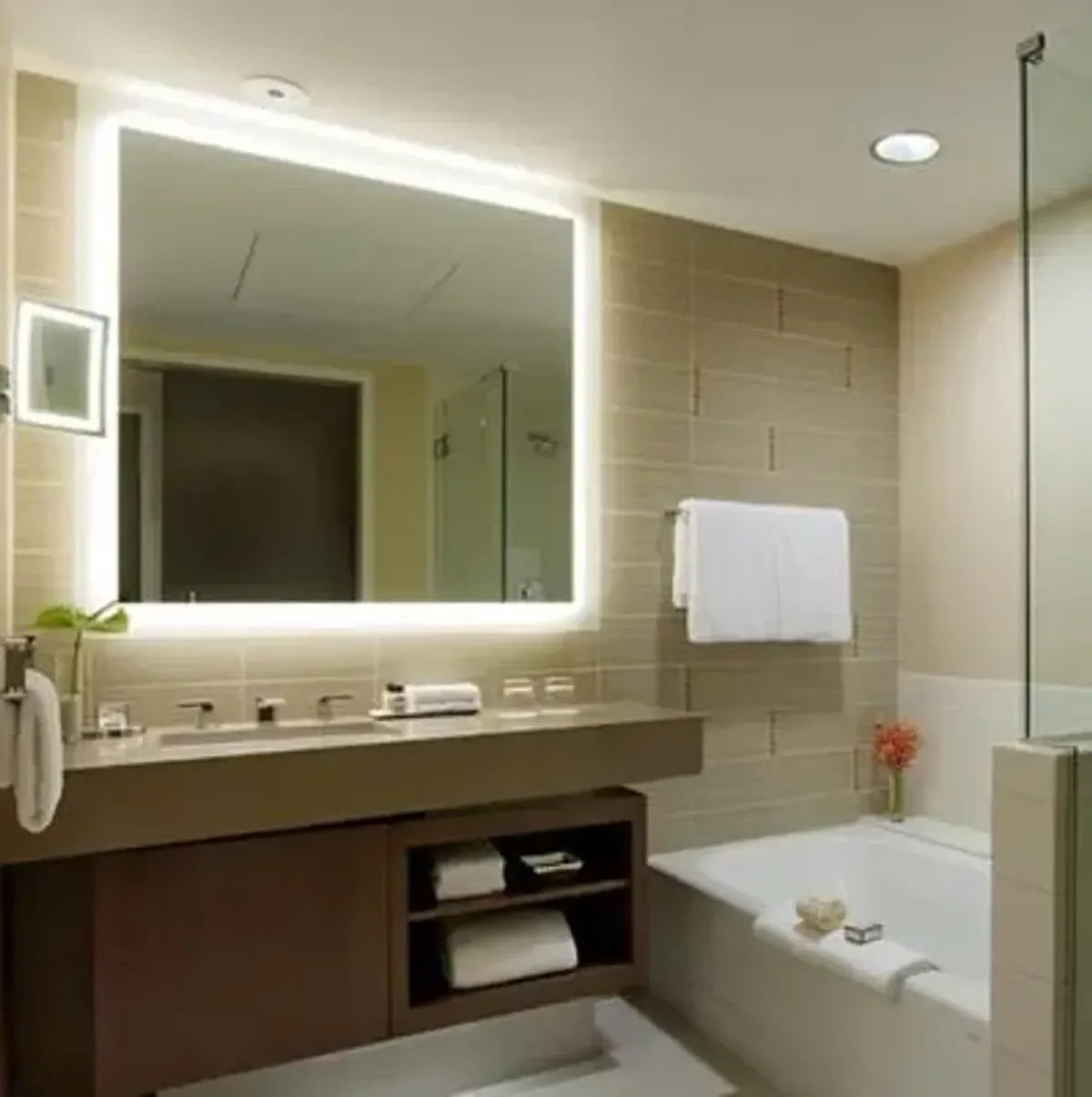 Silhouette Lighted Mirror