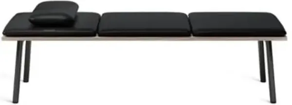 Run Leather Upholstered Daybed