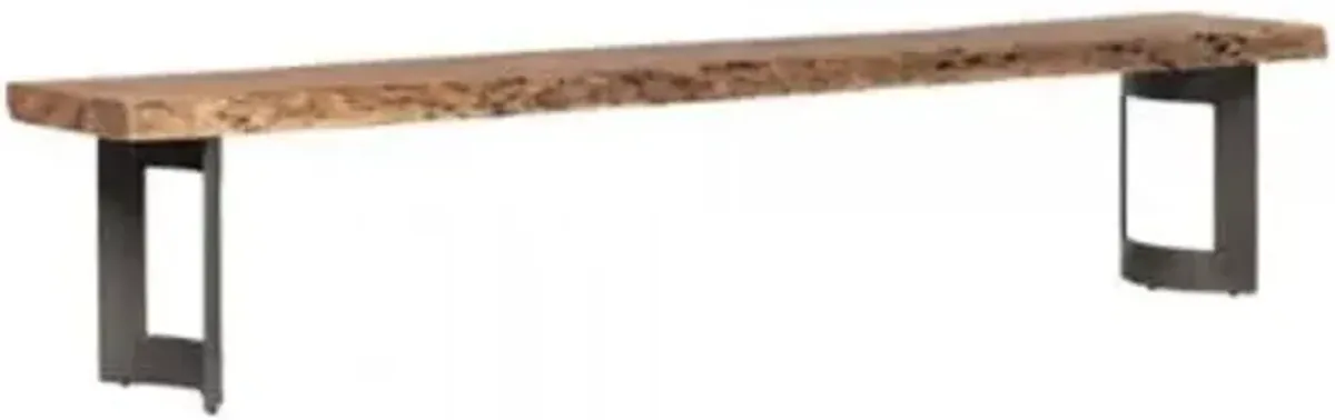 Bent Bench