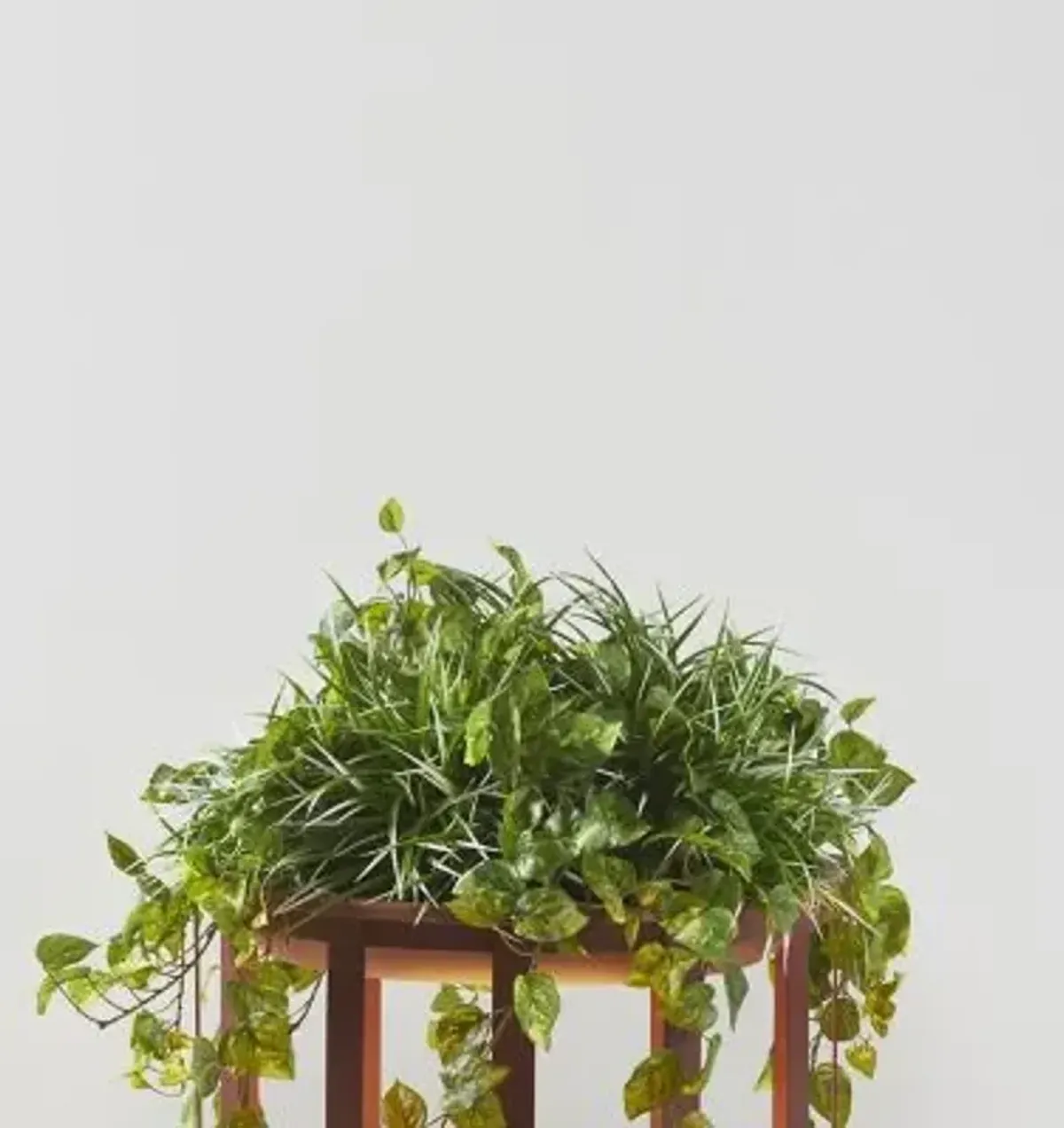 Bols P-4028X Outdoor Vegetation Kit