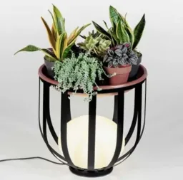 Black Anthracite color