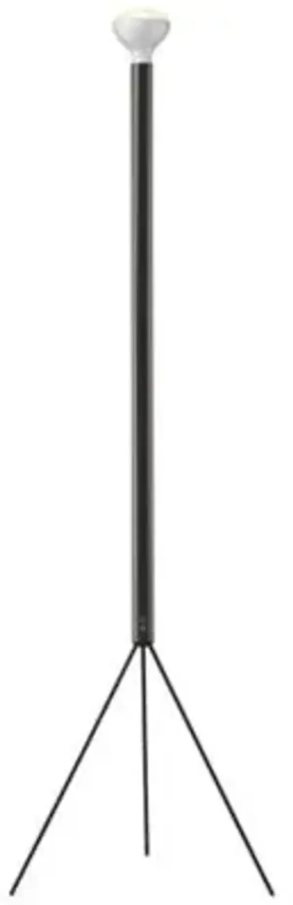 Luminator Floor Lamp