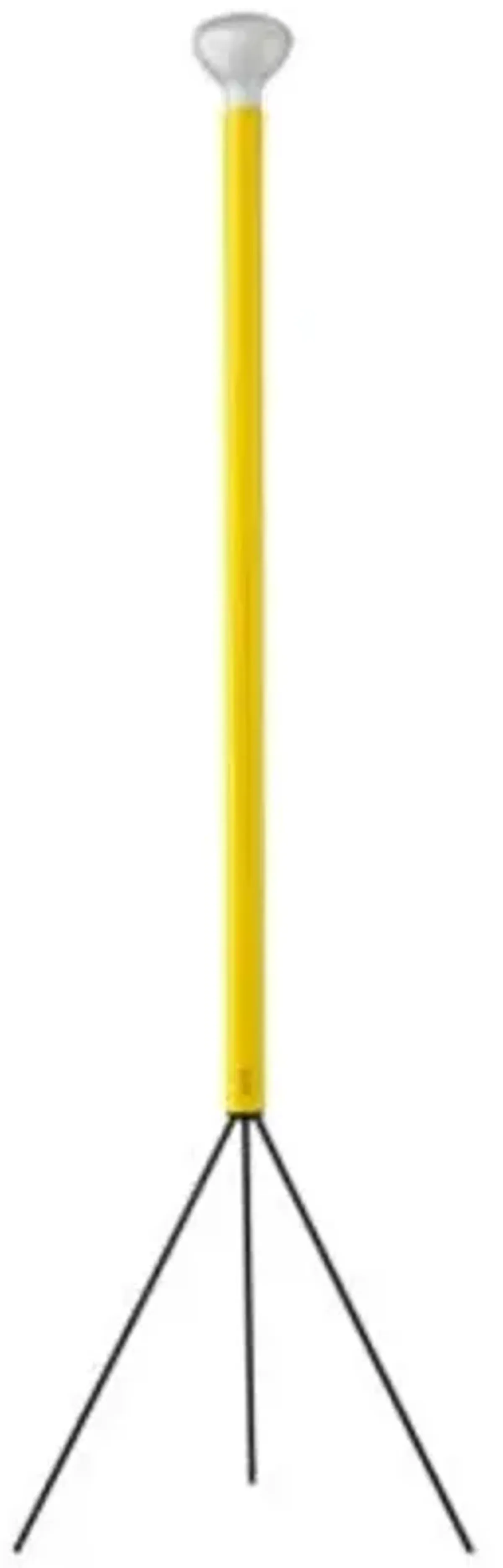 Luminator Floor Lamp