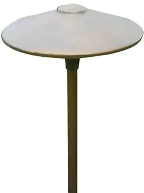 10 Inch Brass Panel LED China Hat Area Light