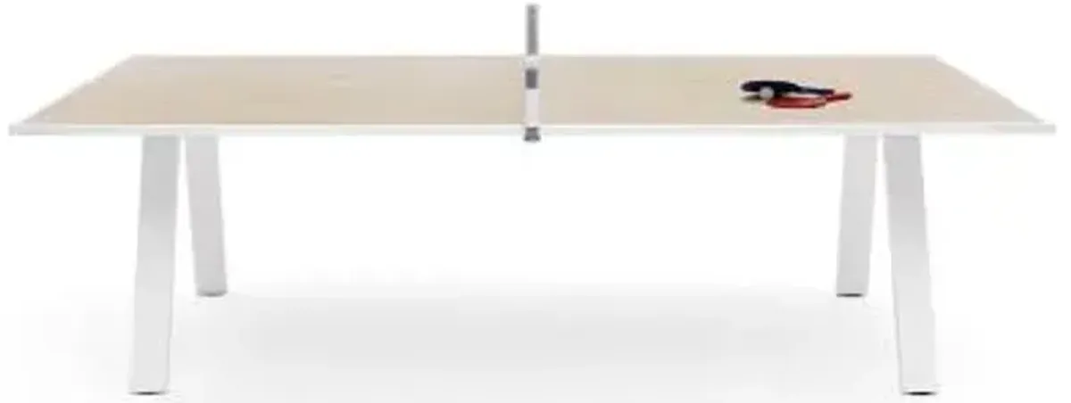 Grasshopper Ping Pong Table