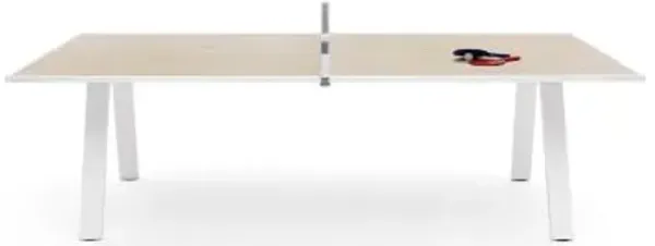 Grasshopper Ping Pong Table