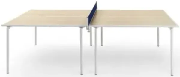 Spider Ping Pong Table