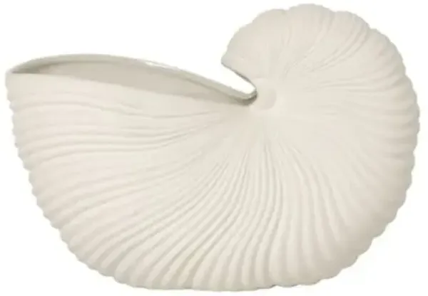 Shell Pot