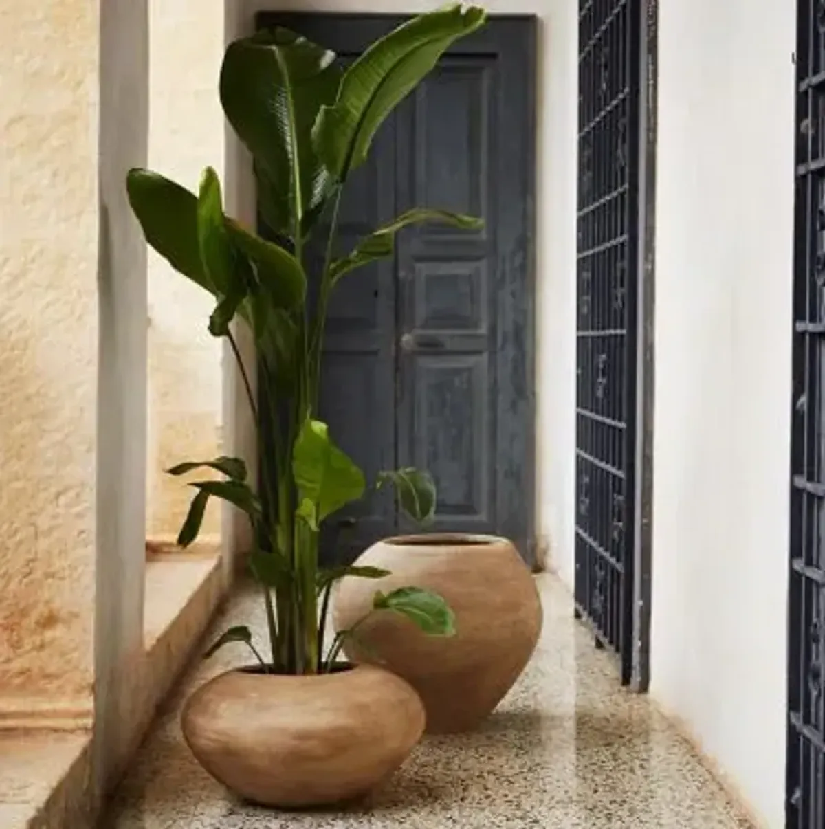 Dodu Pot