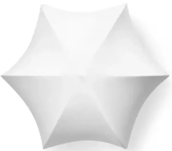 Poem Ceiling / Wall Sconce