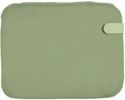 Eucalyptus Green color