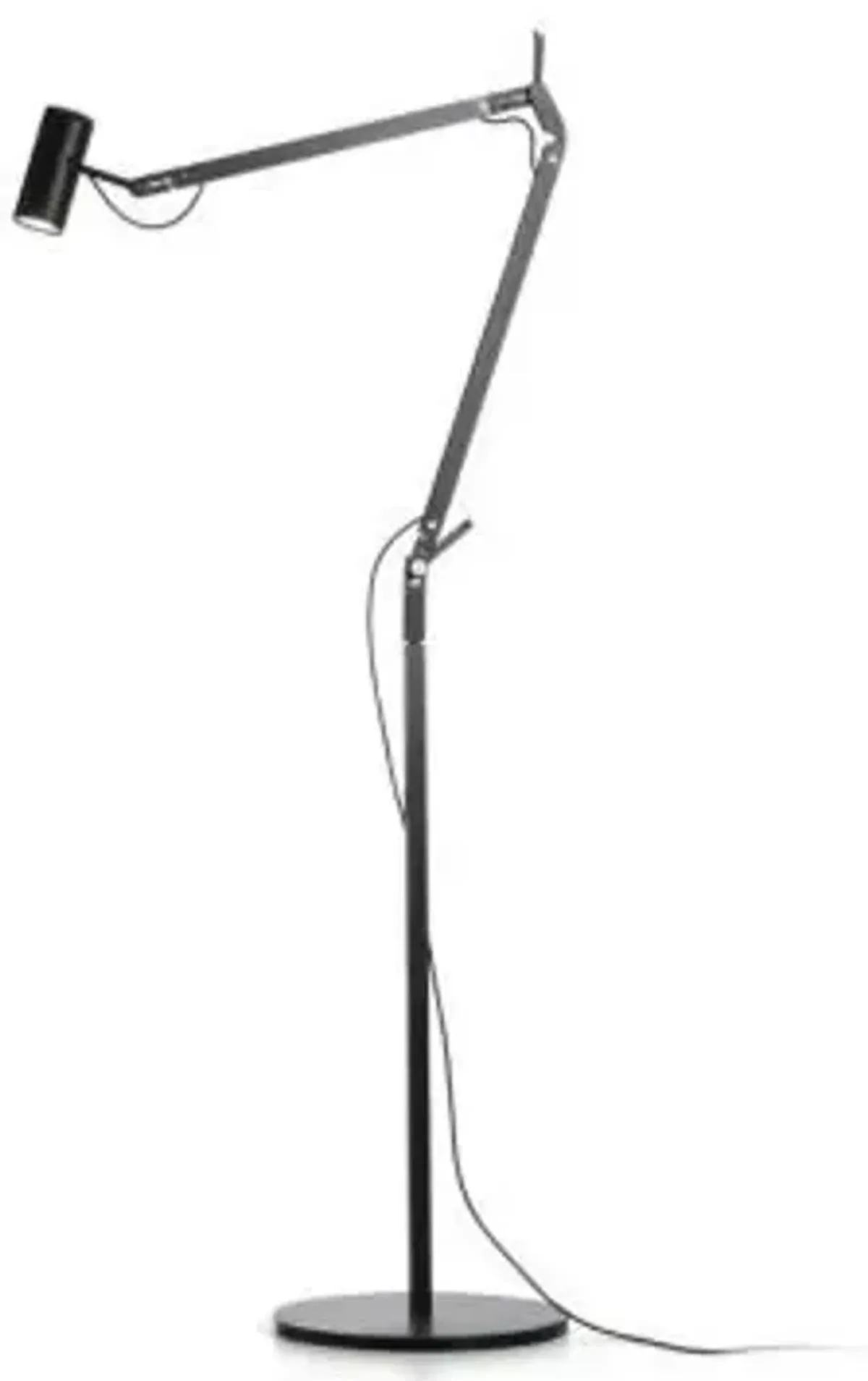 Polo Floor Lamp