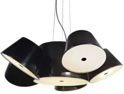 Black / Glossy Lacquered color