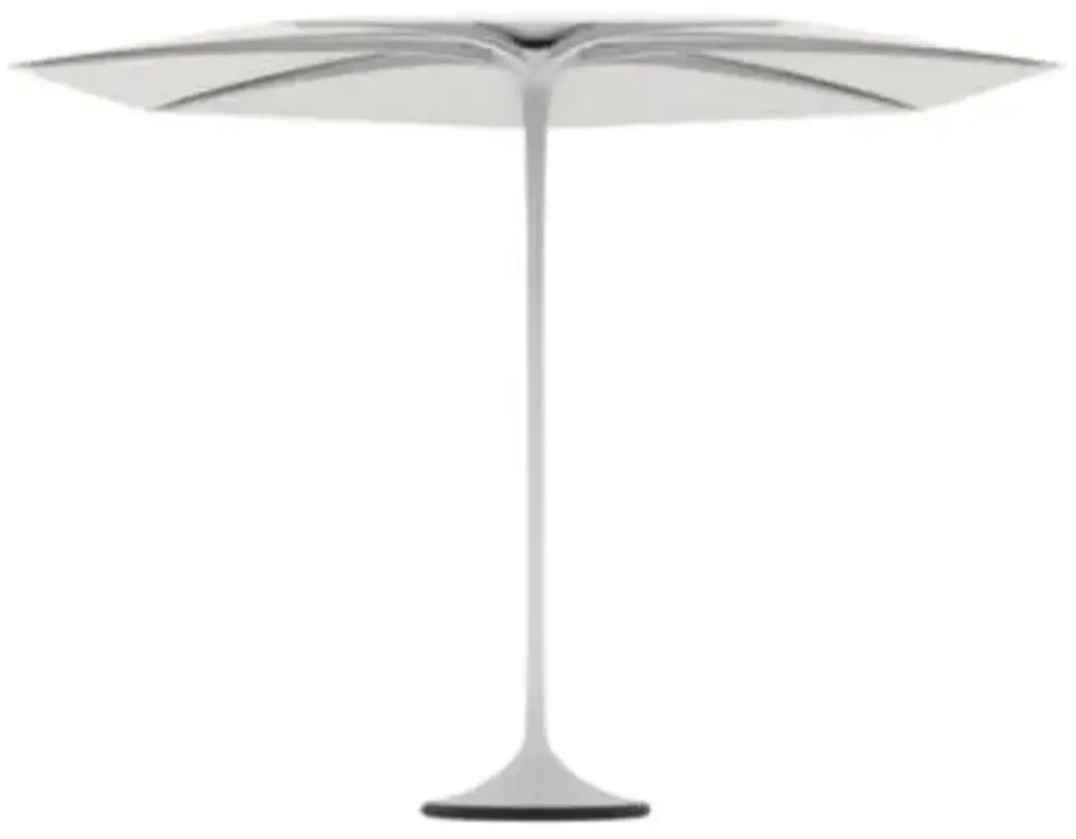 Palma Umbrella with Frame