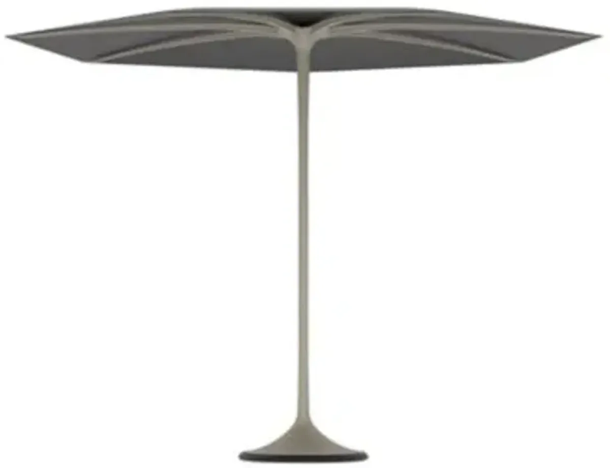 Palma Umbrella with Frame