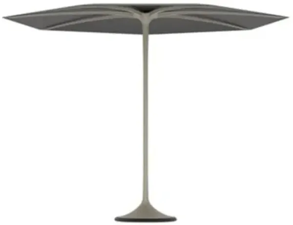 Palma Umbrella with Frame