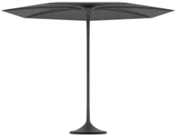 Palma Umbrella with Frame