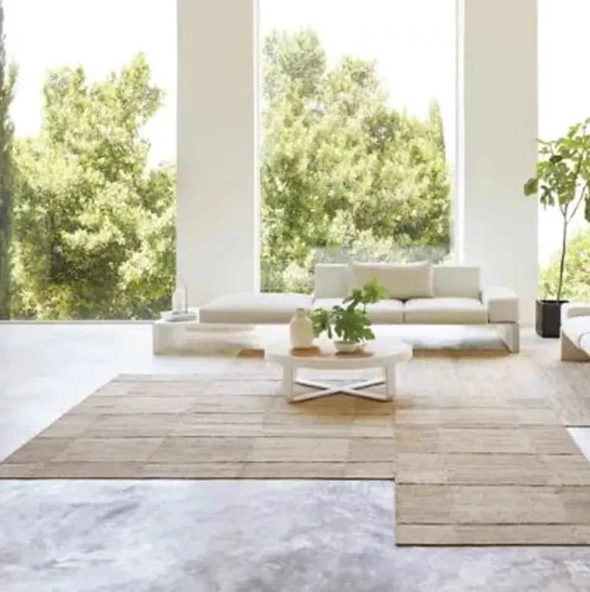 Roots 03 Area Rug