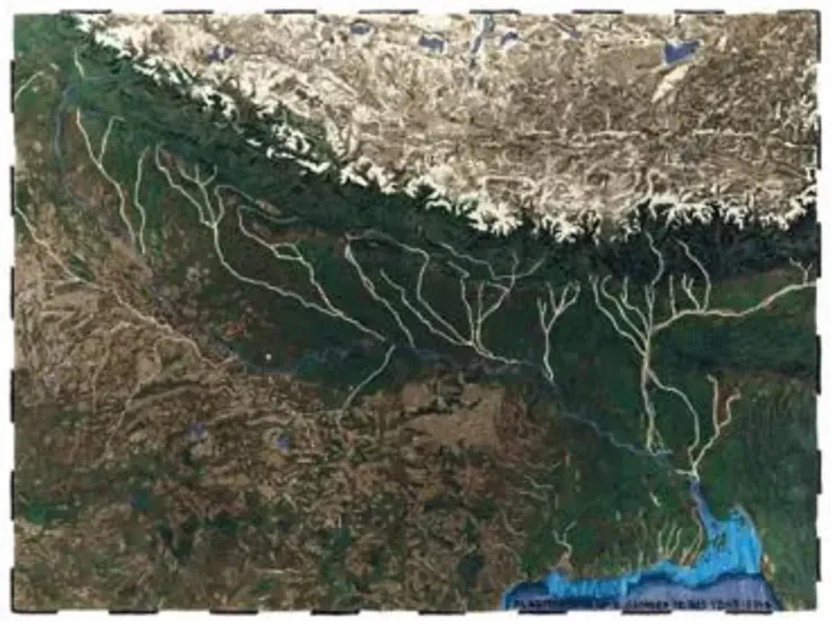 Plastic Rivers Area Rug