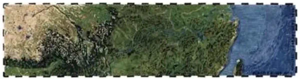 Plastic Rivers Area Rug