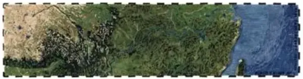 Plastic Rivers Area Rug