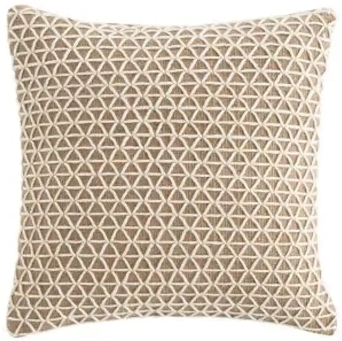 Raw Pillow 20x20