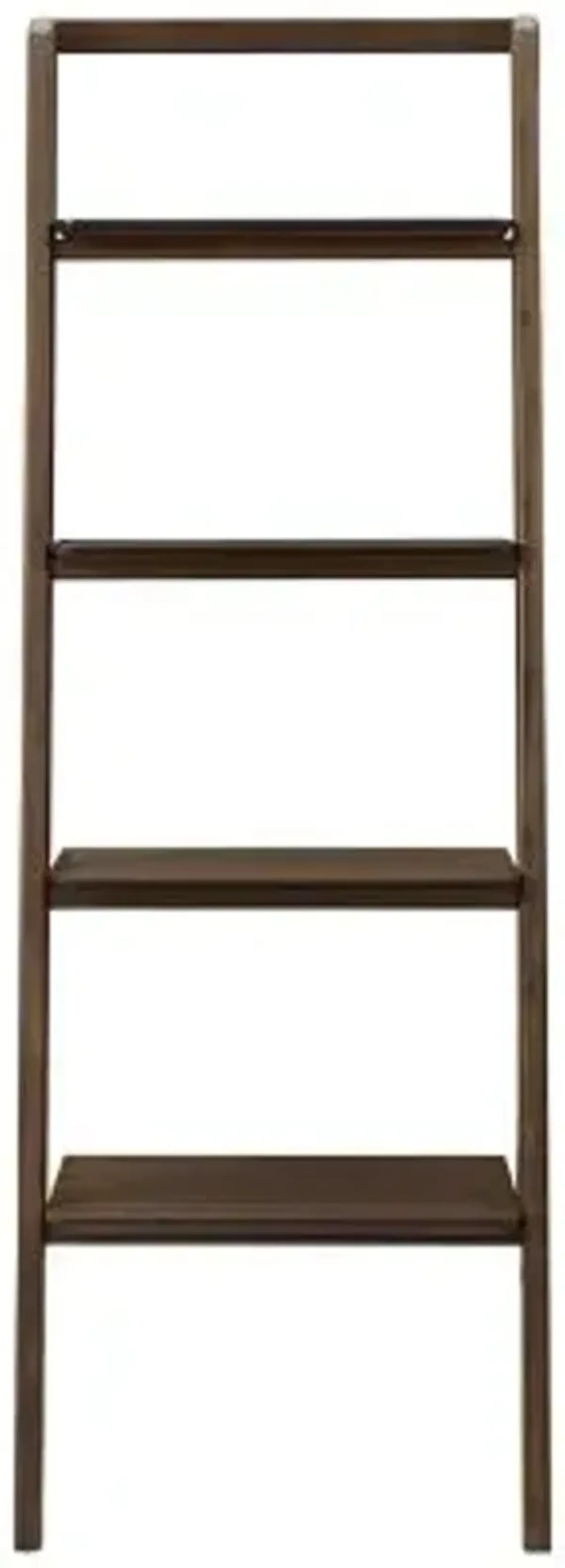 Currant Leaning Bookshelf