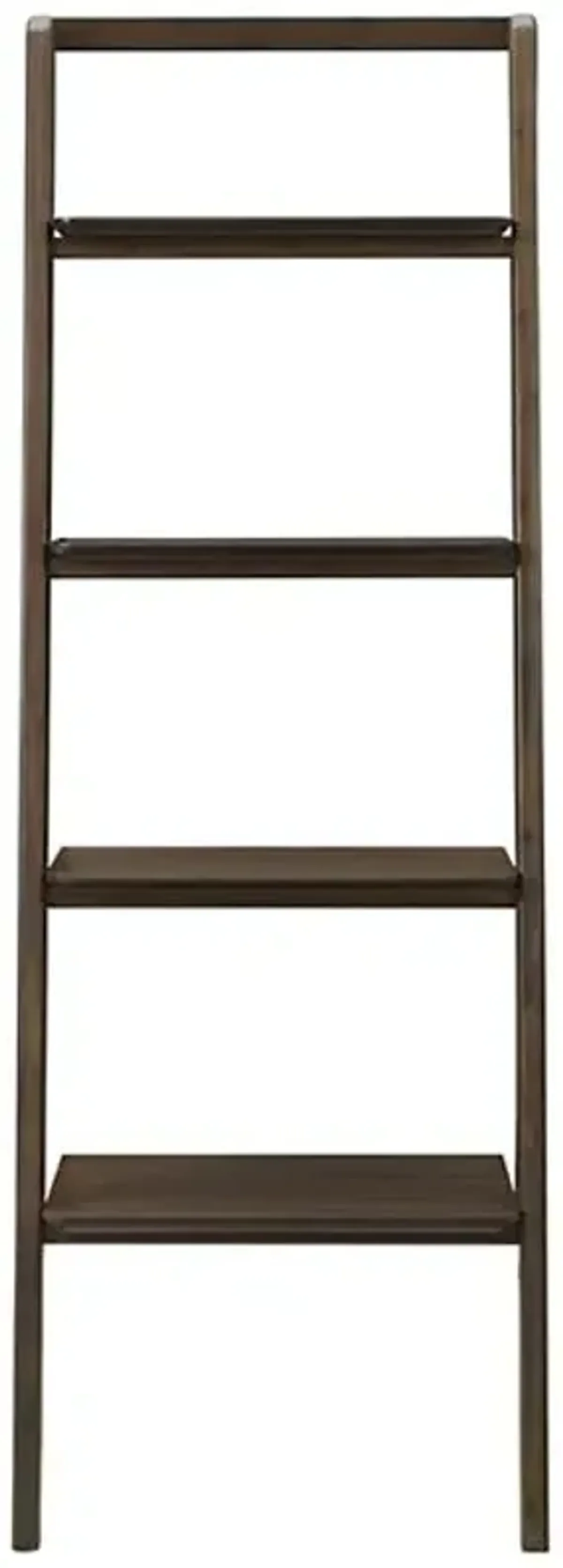 Currant Leaning Bookshelf