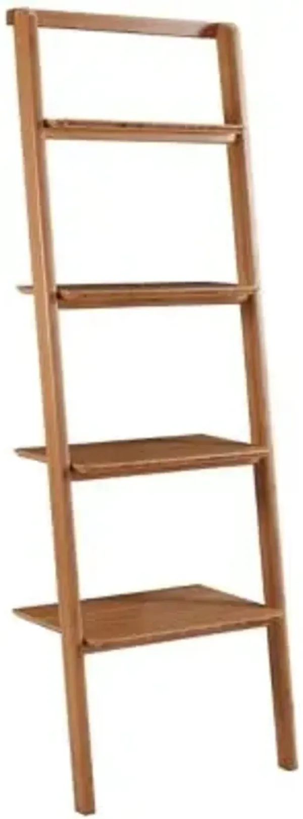 Currant Leaning Bookshelf