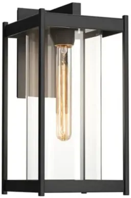 Coastal Black Clear Glass / Coastal Black color