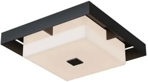 Shadow Box Outdoor Flushmount