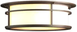Opal / Coastal Bronze color