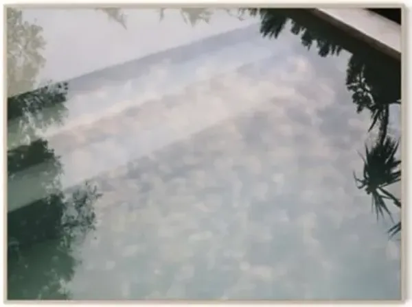 Reflecting Pool Framed Metal Wall Art