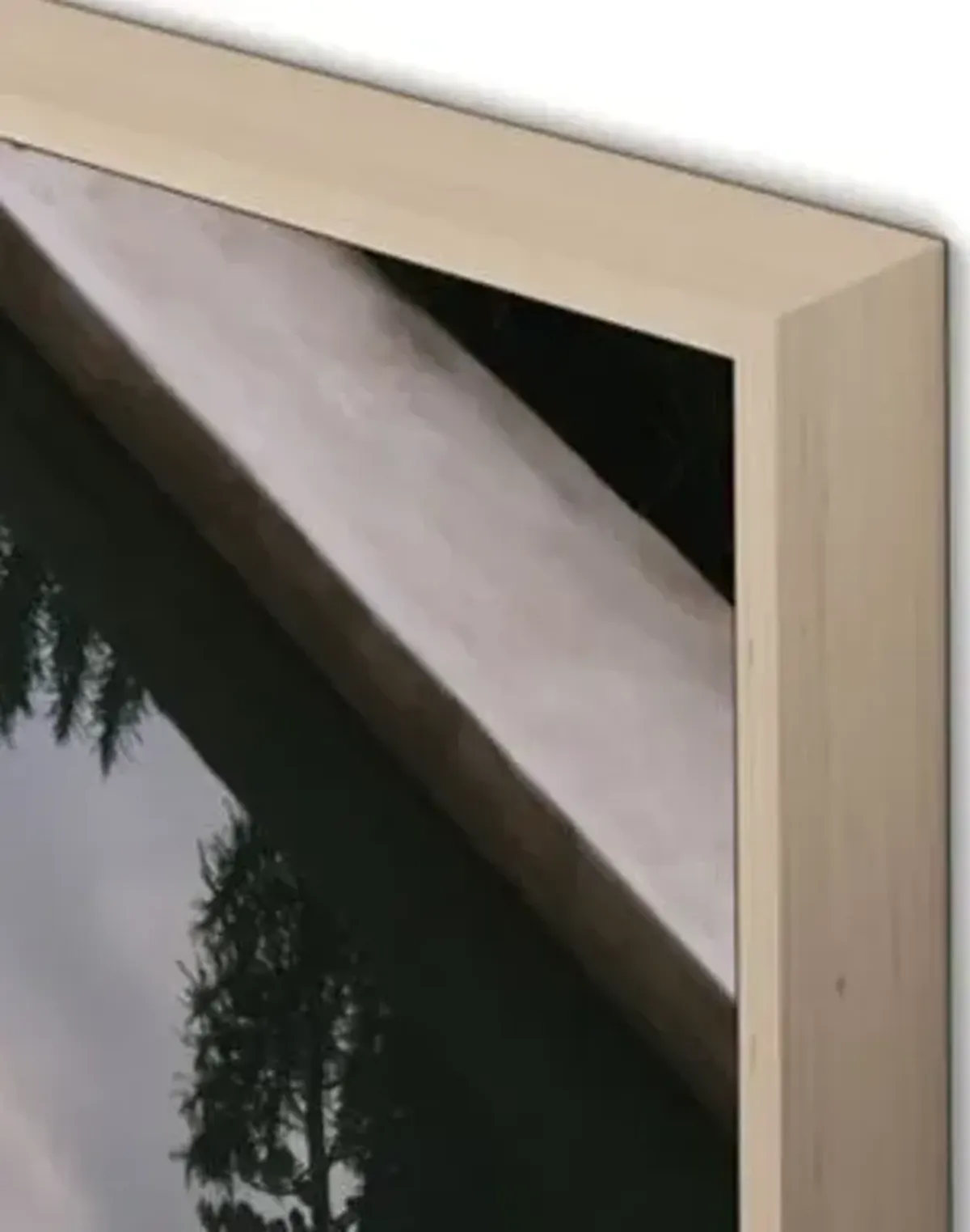 Reflecting Pool Framed Metal Wall Art
