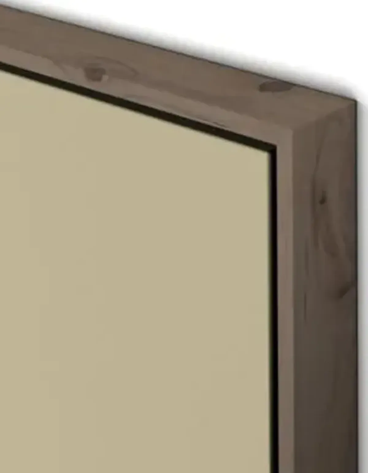 Stems 1 Framed Canvas Wall Art